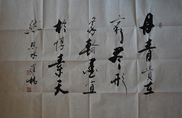 罗杨书法作品 罗杨-书法-100x70