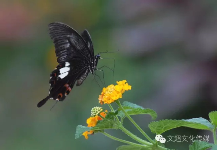 沐鸣娱乐官方网站图片