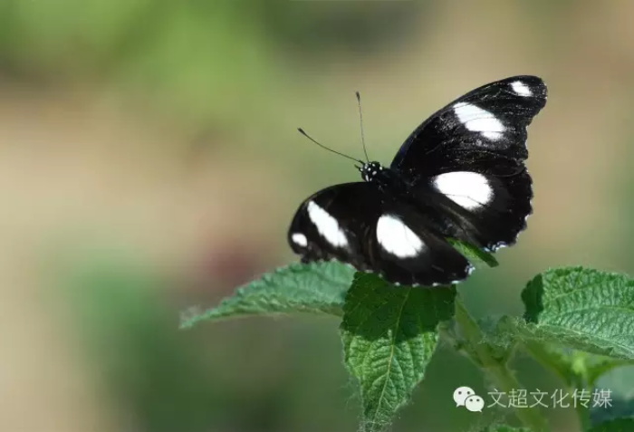 沐鸣娱乐官方网站图片