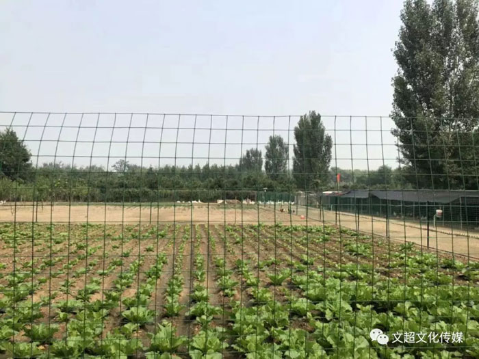 沐鸣娱乐官方网站图片